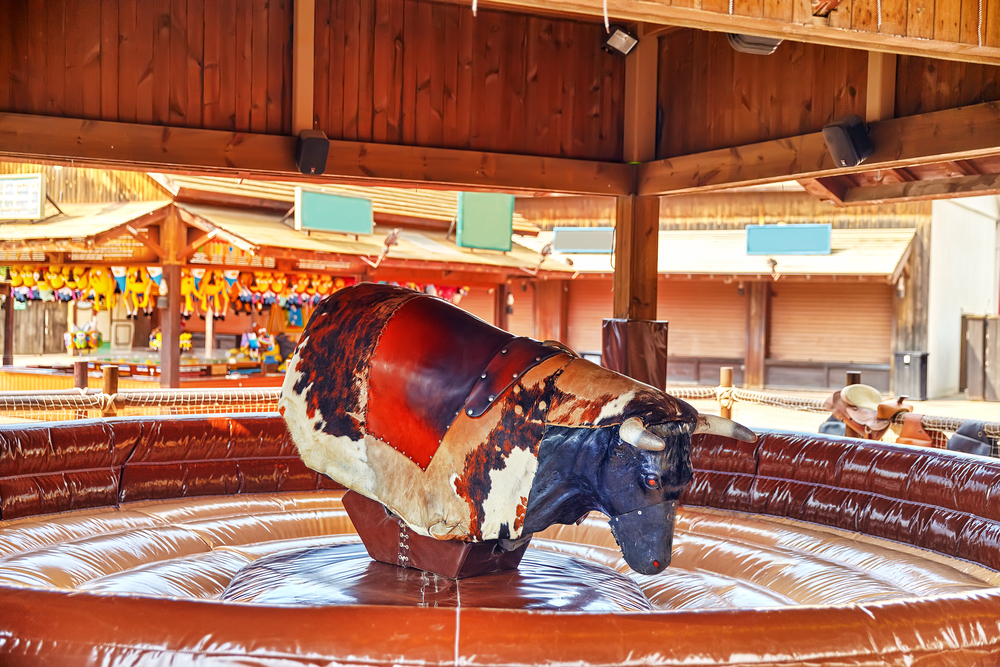 ride of the bull in park amusement